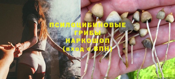 метадон Липки
