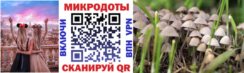 Купить  Нариманов  Псилоцибиновые грибы GOLDEN TEACHER 