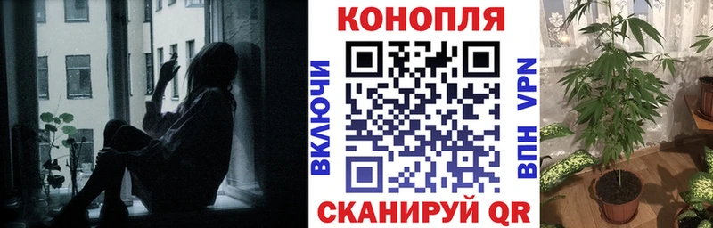 Купить где  Нариманов  Бошки марихуана планчик 
